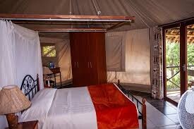 2-Day 1-Night Safari Zomeni Lion Hill Lodge