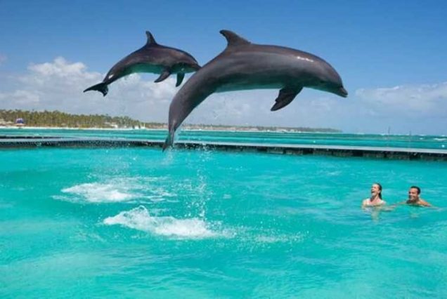 Excursions in Zanzibar