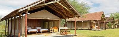 Aruba Ashnil Deals with Lutea Africa Safaris | Best Aruba Ashnil Lodge Offers