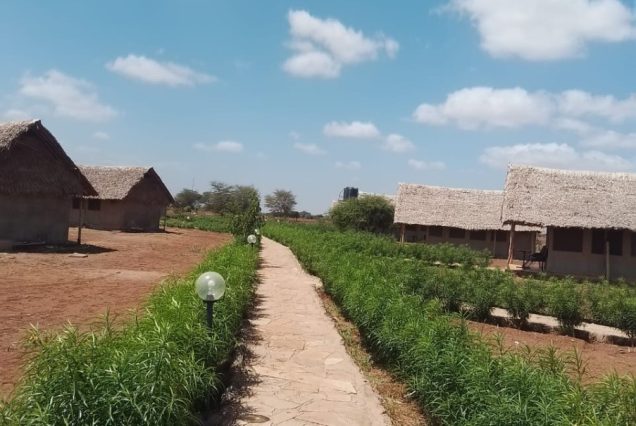 Osotua Rafiki Camp Amboseli