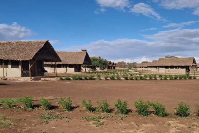 Osotua Rafiki Camp Amboseli