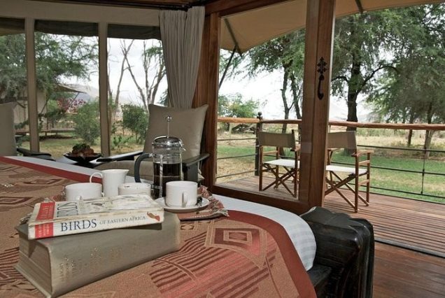 Samburu Ashnil Safari
