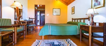 Book Simba Lodges with Lutea Safaris