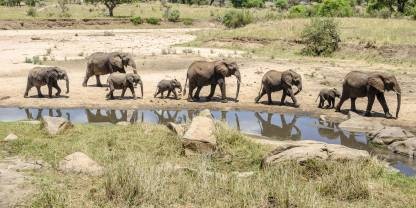 7 Days Tanzania Safari 